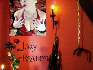 Lady-Rosenrot